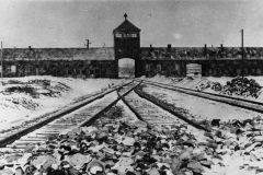 csm_KZ_Auschwitz_Bahneinfahrt_ee703f14e3