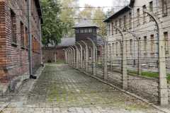 img-20221016-wa00141