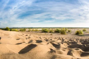 Tip na výlet: Pustynia Błędowska – Polská Sahara (Bledowská poušť)