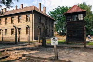 Diskuze: Komentované prohlídky v češtině