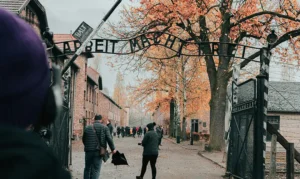 Čtěte také: Vstup a vstupenky