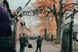 Diskuze: Vstup a vstupenky