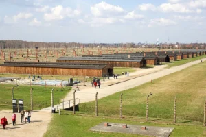 Birkenau – Březinka