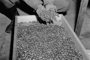 Zuby a vlasy obětí