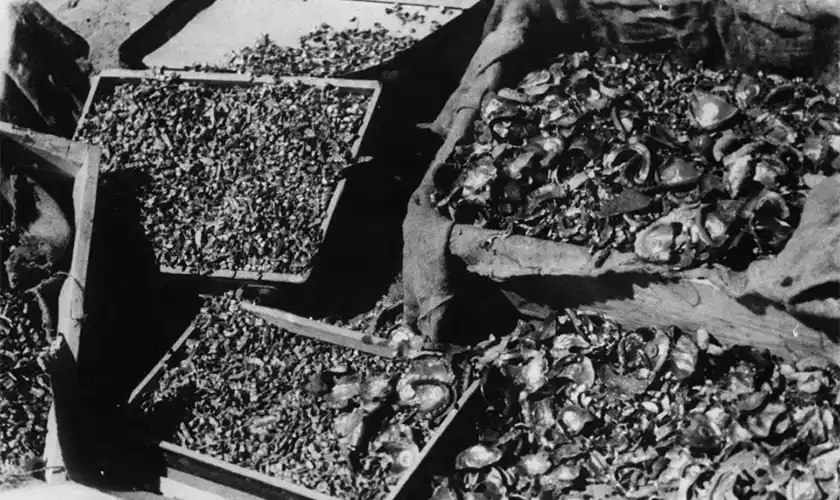 Osvětim zlaté zuby a korunky