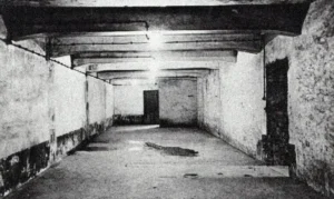 Čtěte také: Plynové komory a falešné sprchy