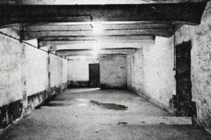 Plynové komory a falešné sprchy